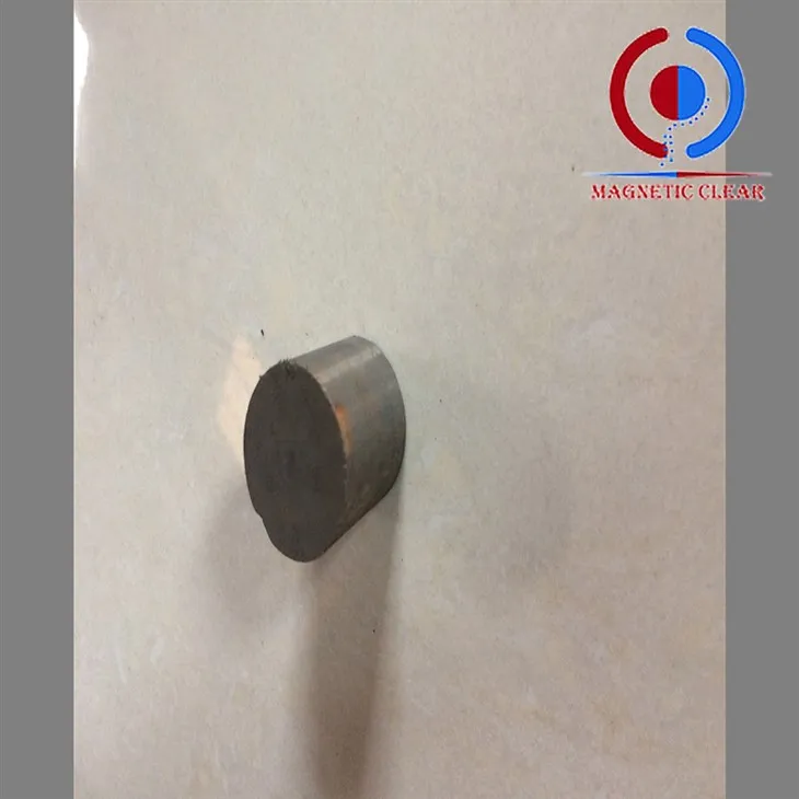 6インチネオジム磁石のコスト